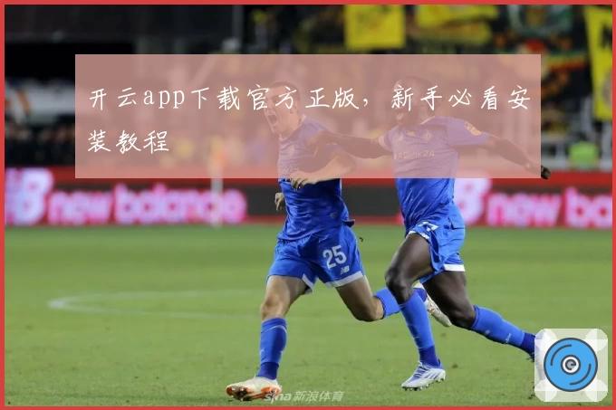 开云app下载官方正版,新手必看安装教程