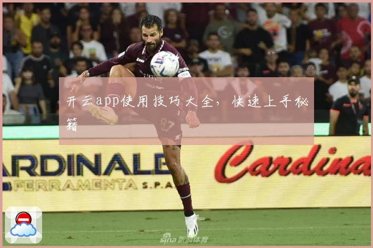 开云app使用技巧大全，快速上手秘籍